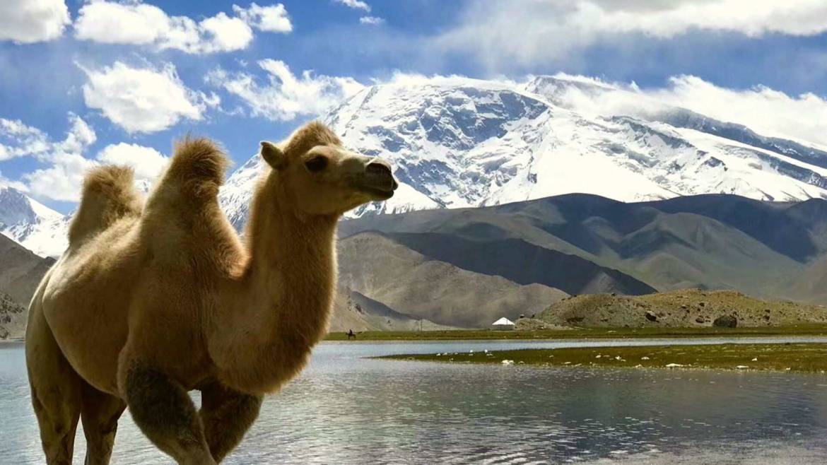 In the high mountain- Pamir