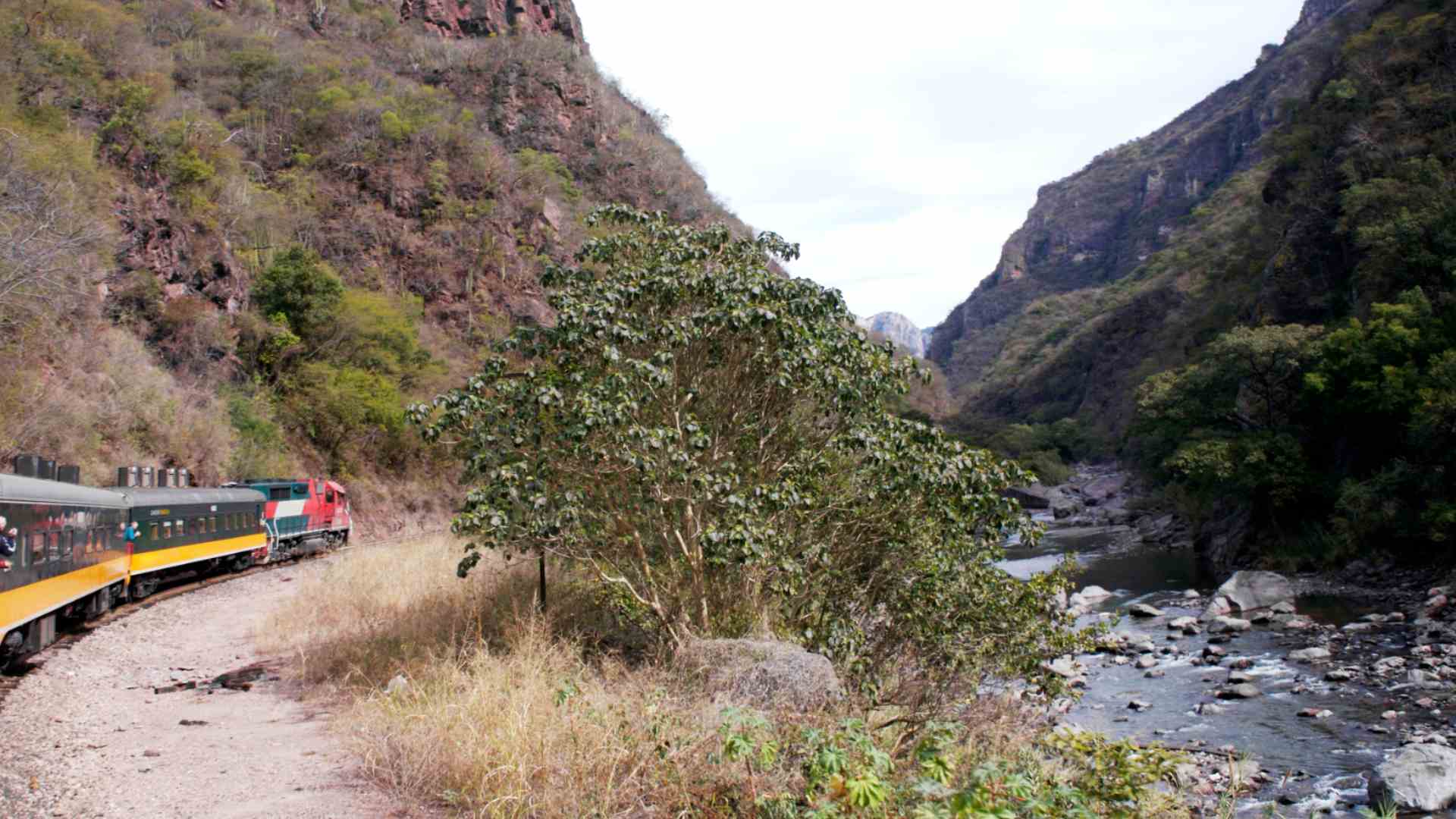 El Chepe in the canyon