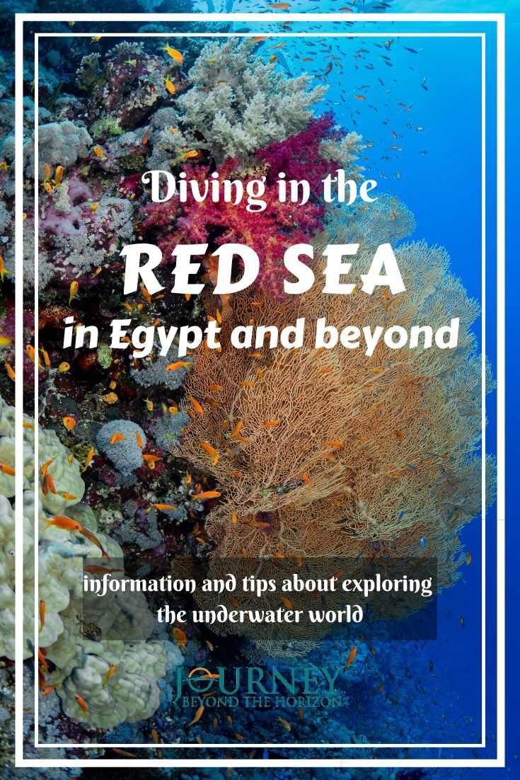 A guide about diving in the Red Sea- geography, diving spots, liveaboard tours and useful information. and tips.