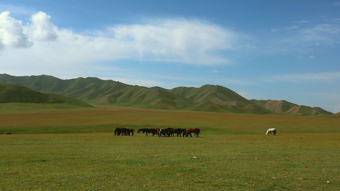Bayan Bulak Grassland