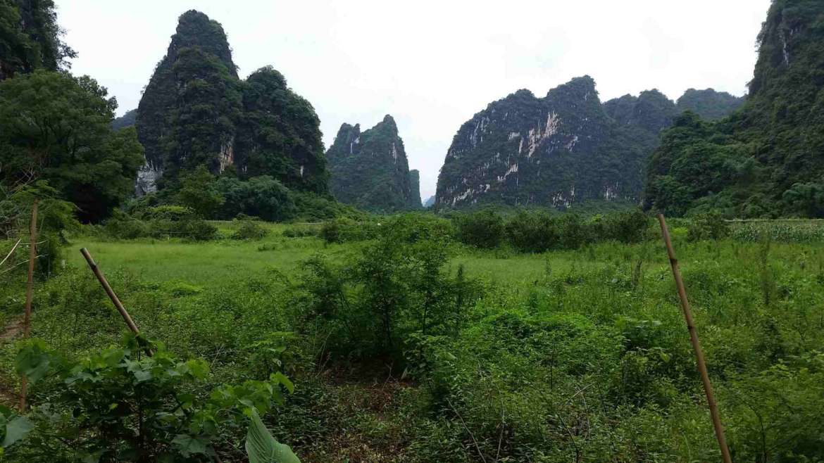 A landscape of Yingxi Limestone hills area