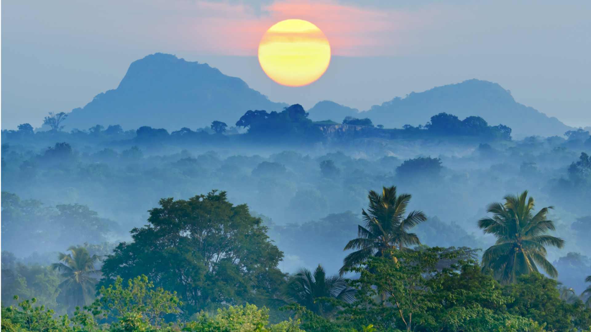 Mountain rainforest in Kerinci-Seblat National Park