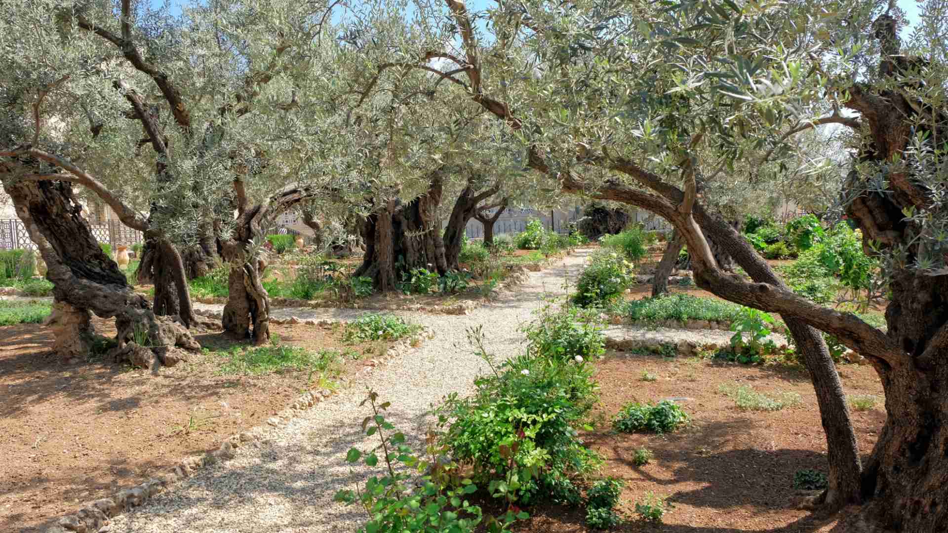 Unveiling the Old City of Jerusalem: Must-See Sites and Hidden Gems