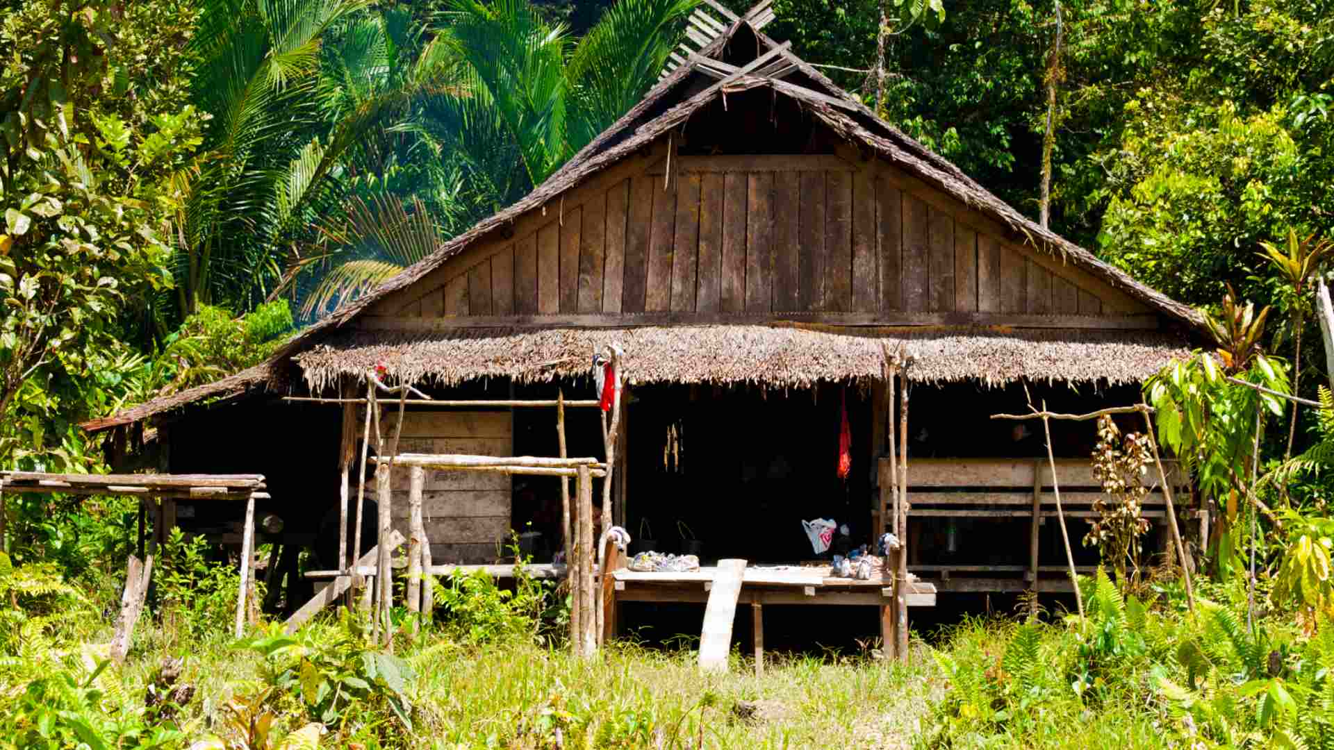 Mentawai Uma House