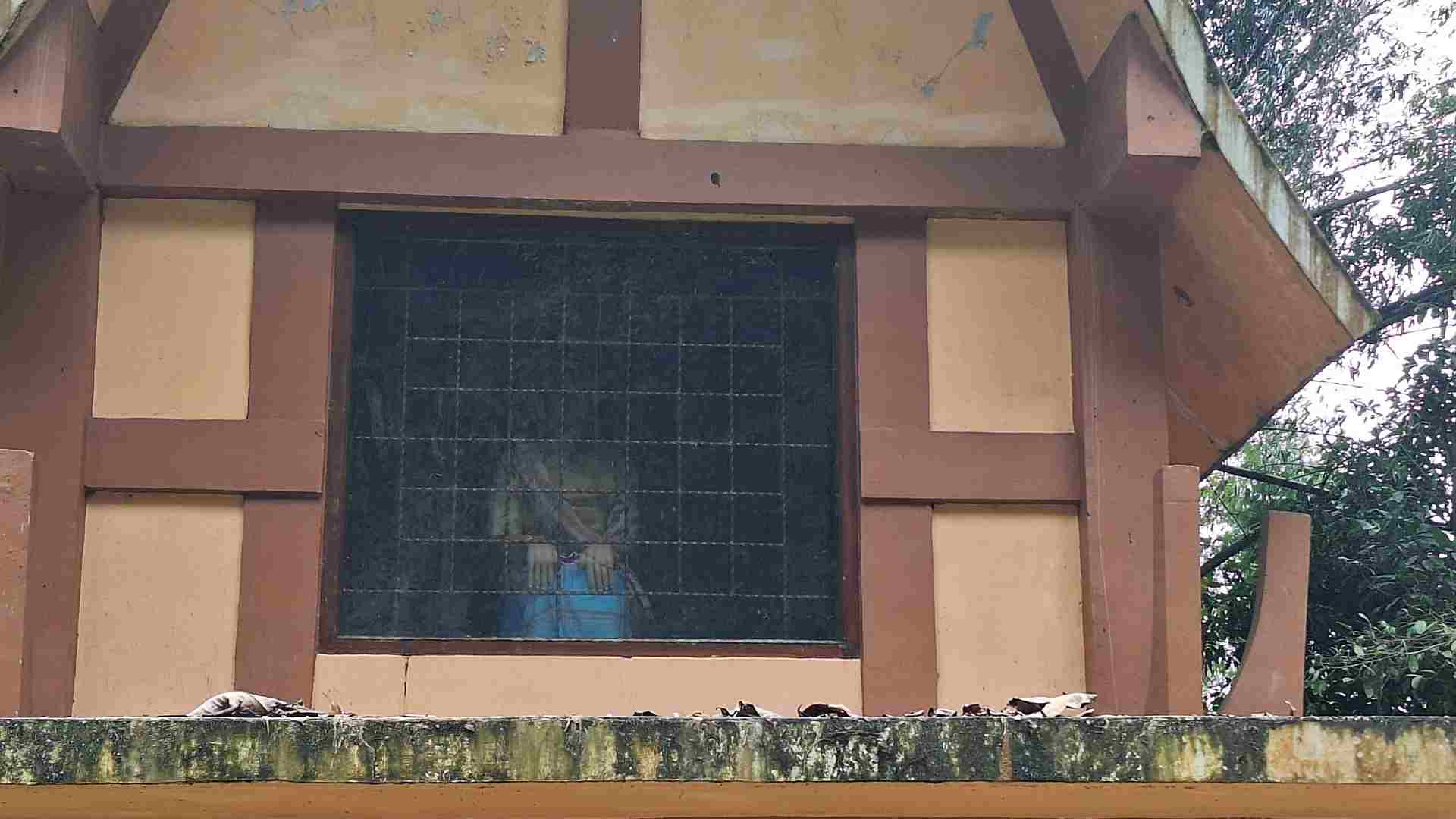 A dead in a grave, sitting at the window.