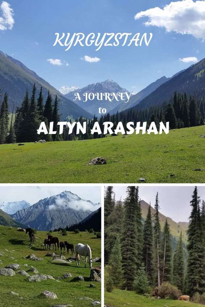 Make a journey to Altyn Arashan, Kyrgyzstan, in Tianshan mountains- an incredibly beautiful mountain landscape with coniferous forests, meadows, valleys and peaks!