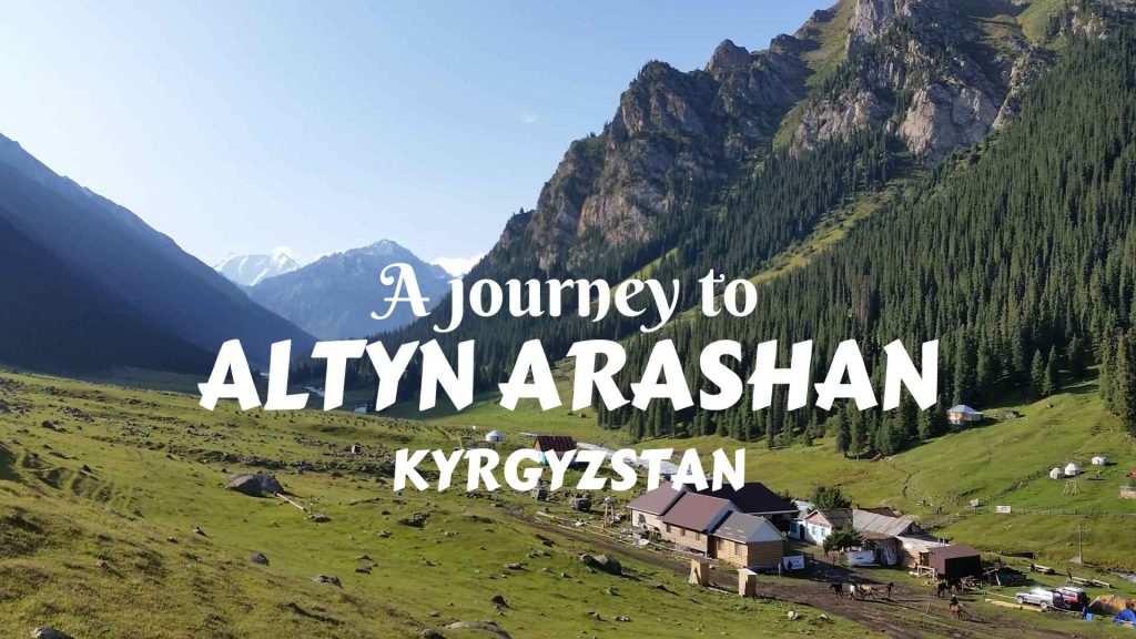 A JOURNEY TO ALTYN ARASHAN AND THE CONIFEROUS FORESTS OF TIANSHAN
