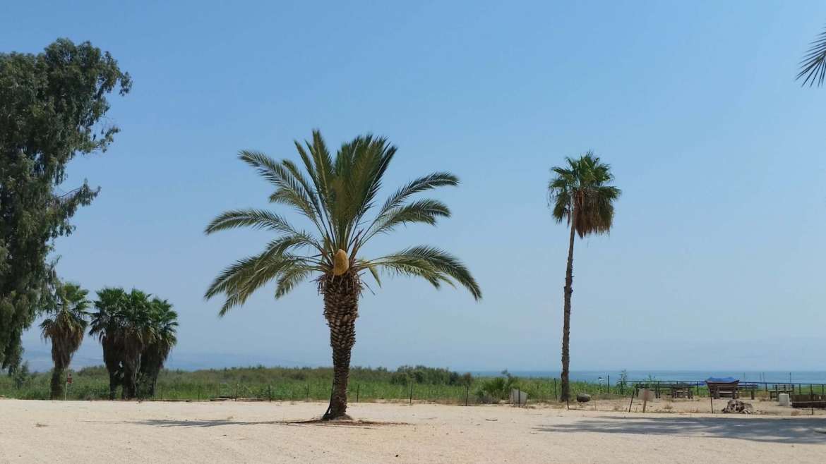 Magdala, on the west coast of the Sea of Galilee